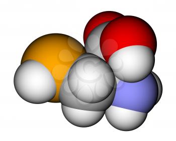 Amino acid selenocysteine space-filling molecular model