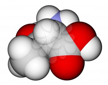 Essential amino acid threonine 3D molecular model