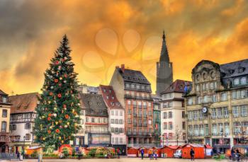 Christmas tree at the famous Christmas Market in Strasbourg - Alsace, France