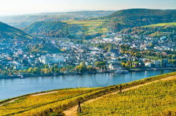 View of Bingen am Rhein from Rudesheim vineyards in the Upper Middle Rhine Valley, Germany