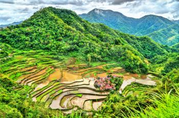 Bangaan Rice Terraces - Ifugao, Luzon Island, the Philippines