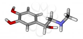 Optimized molecular model of adrenaline on a white background