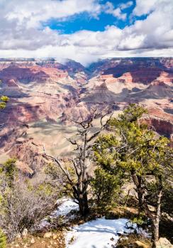 Grand Canyon as seen from Mather Point. Arizona, United States