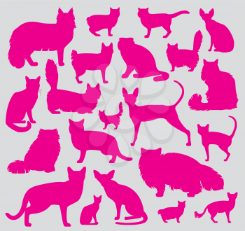 Cat breeds icon set flat style. Vector illustration