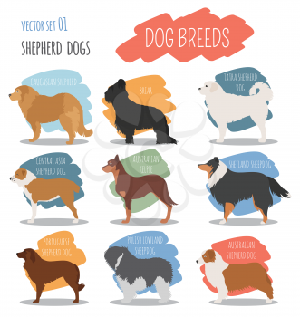 Dog breeds. Shepherd dog set icon. Flat style. Vector illustration