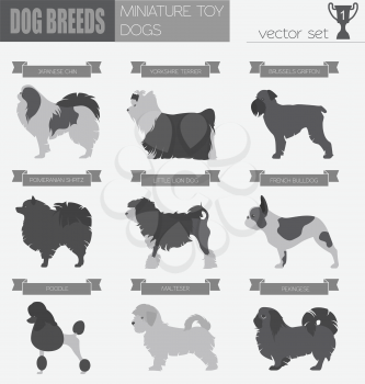 Dog breeds. Miniature toy dog set icon. Flat style. Vector illustration