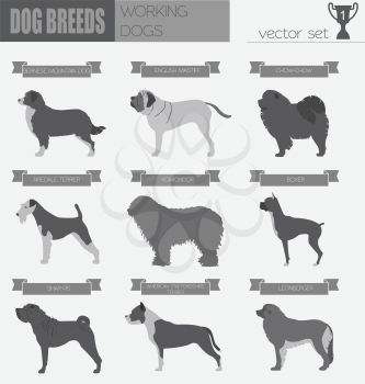 Dog breeds. Working (watching) dog set icon. Flat style. Vector illustration