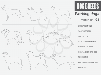 Dog breeds. Working (watching) dog set icon. Flat style. Vector illustration