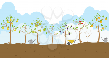 Fruit trees. Garden. Icon set. Vector illustration