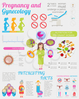 Gynecology and pregnancy infographic template. Motherhood elements. Constructor for creating your own design, infographics. Vector illustration