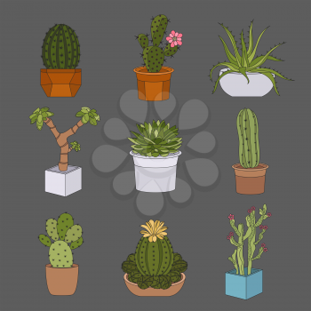 Cactuses and succulents icon set. Houseplants. Vector illustration