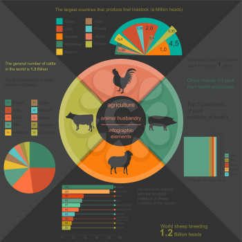 Agriculture, animal husbandry infographics, Vector illustrationstry info graphics. Vector illustration