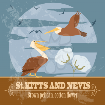 Saint Kitts and Nevis national symbols. Brown pelican, cotton flower. Retro styled image. Vector illustration