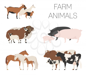 Farm animall family collection. Cattle, sheep, pig, horse, goat icon set. Flat design. Vector illustration