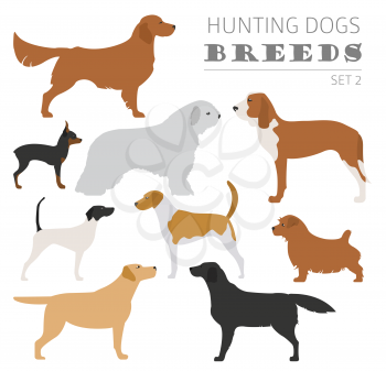 Hunting dog breeds collection isolated on white. Flat style. Vector illustration