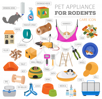 Pet appliance icon set flat style isolated on white. Rodents care collection. Create own infographic about guinea pig, rat, hamster, chinchilla, mouse, rabbit. Vector illustration