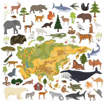 Flat Asian flora and fauna map constructor elements. Animals, birds and sea life isolated on white big set. Build your own geography infographics collection. Vector illustration