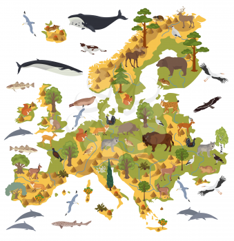 Flat European flora and fauna map constructor elements. Animals, birds and sea life isolated on white big set. Build your own geography infographics collection. Vector illustration