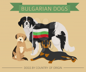 Dogs by country of origin. Bulgarian dog breeds. Infographic template. Vector illustration