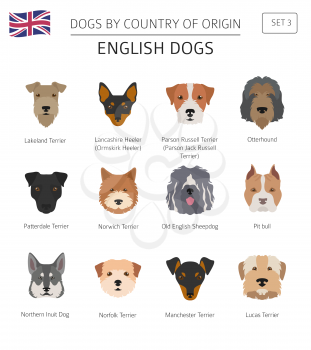 Dogs by country of origin. English dog breeds. Infographic template. Vector illustration