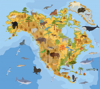 North America flora and fauna map, flat elements. Animals, birds and sea life big set. Build your geography infographics collection. Vector illustration