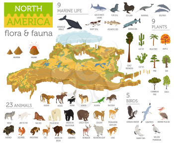 Isometric 3d North America flora and fauna map elements. Animals, birds and sea life. Build your own geography infographics collection. Vector illustration