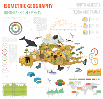 Isometric 3d North America flora and fauna map elements. Animals, birds and sea life. Build your own geography infographics collection. Vector illustration