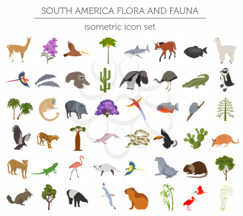 Isometric 3d South America flora and fauna elements. Animals, birds and sea life. Build your own geography infographics collection. Vector illustration