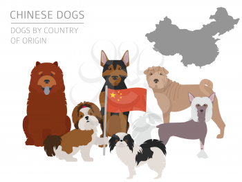 Dogs by country of origin. Chinese dog breeds. Infographic template. Vector illustration