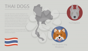 Dogs by country of origin. Thai dog breeds. Infographic template. Vector illustration