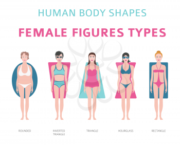 Human body shapes. Female figures types set. Vector illustration