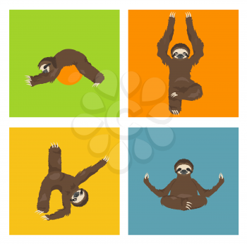 Sloth yoga collection. Funny cartoon animals in different postures set. Vector illustration