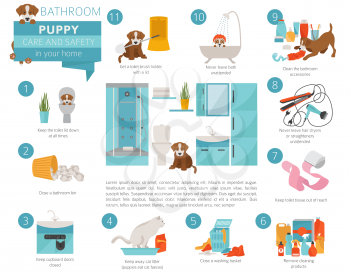 Puppy care and safety in your home. Bathroom. Pet dog training infographic design. Vector illustration