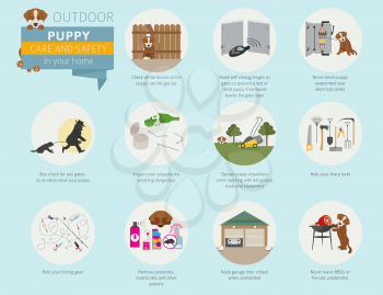 Puppy care and safety in your home. Outdoor. Pet dog training infographic design. Vector illustration