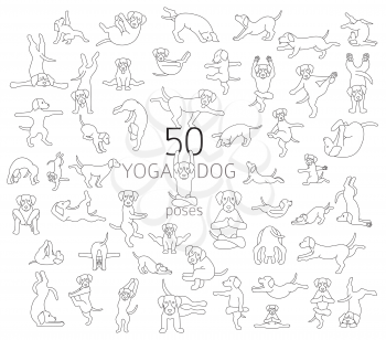 Yoga dogs poses and exercises doing clipart. Funny cartoon simple linear poster design. Vector illustration