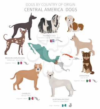 Dogs by country of origin. Central American dog breeds. Shepherds, hunting, herding, toy, working and service dogs  set.  Vector illustration