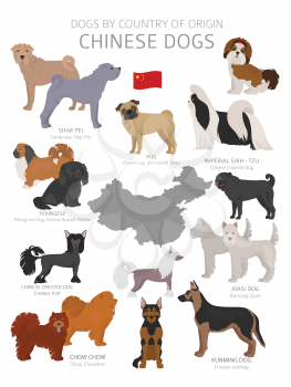 Dogs by country of origin. Chinese dog breeds. Shepherds, hunting, herding, toy, working and service dogs  set.  Vector illustration