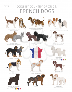 Dogs by country of origin. French dog breeds. Shepherds, hunting, herding, toy, working and service dogs  set.  Vector illustration