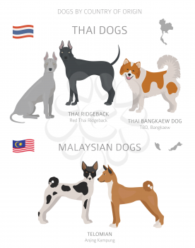 Dogs by country of origin. Thai and Malaysian dog breeds. Shepherds, hunting, herding, toy, working and service dogs  set.  Vector illustration