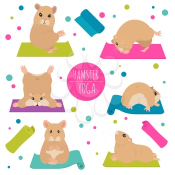 Hamsters yoga poses and exercises. Cute cartoon clipart set. Vector illustration