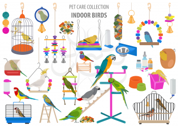 Pet appliance icon set flat style isolated on white. Birds care collection. Create own infographic about parrot, parakeet, canary, thrush, finch, jay bird, starling, amadina, siskin,  toucan, bunting. Vector illustration