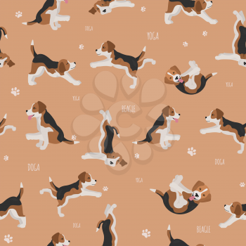 Yoga dogs poses and exercises. Beagle seamless pattern. Vector illustration