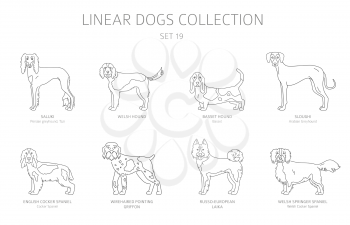 Simple line dogs collection isolated on white. Dog breeds. Flat style clipart set. Vector illustration