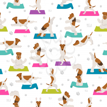 Yoga dogs poses and exercises poster design. Smooth fox terrier and wire fox terrier seamless pattern. Vector illustration