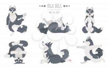 Yoga dogs poses and exercises. Siberian husky and Alaskan husky clipart. Vector illustration
