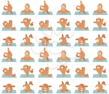 Yoga dogs poses and exercises seamless pattern design. Cockapoo clipart. Vector illustration