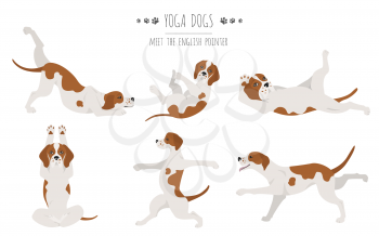 Yoga dogs poses and exercises poster design. English pointer clipart. Vector illustration