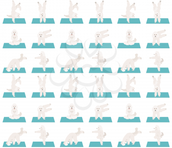 Yoga dogs poses and exercises seamless pattern design. Poodle clipart. Vector illustration