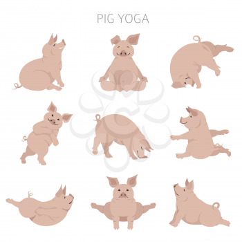 Pig yoga poses and exercises. Cute cartoon clipart set. Vector illustration