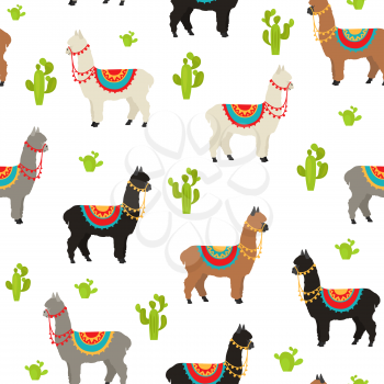Camelids family collection. Alpaca graphic design. Vector illustration